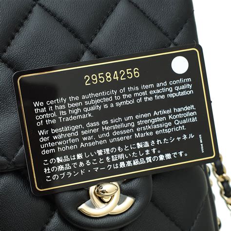 Chanel 2022 My Precious Pearls Phone Flap Bag 